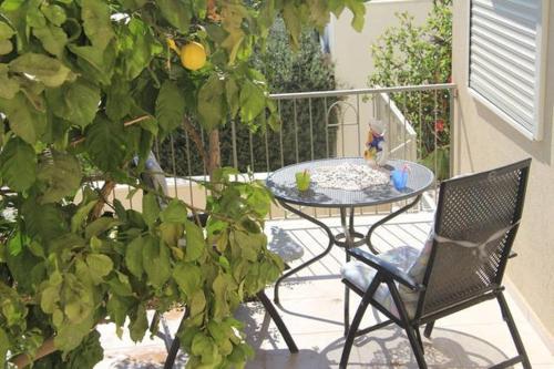 Magnificent studio in Zichron yaakov sea view and garden in Zichron Yaakov