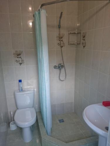 Guest house on Izumrudnaya - image 2
