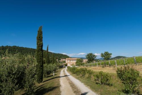 Bio Agriturismo Poggio Aione - image 12