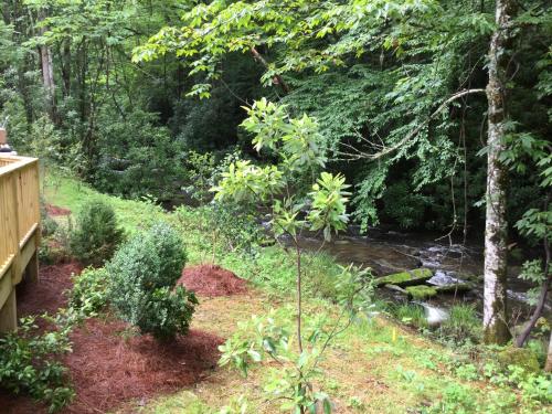 Lake Nantahala-Smoky Mountain-Yurts - image 2