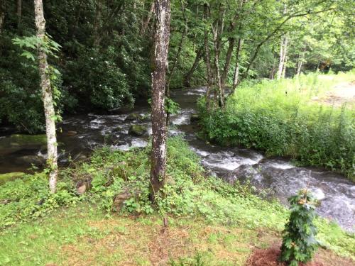 Lake Nantahala-Smoky Mountain-Yurts - image 3
