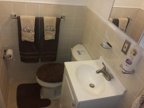 Studio and 1 Bedroom Apartments - Bronx - image 7