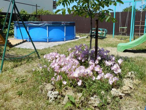 Guest House Anastasia - image 2