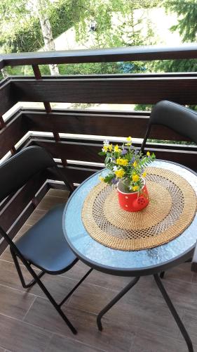 Apartmani Starovla - main image