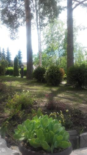 Apartmani Starovla - image 3