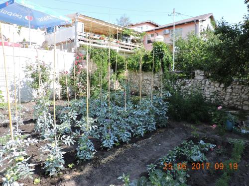 Vila Chasovnikarov - image 7