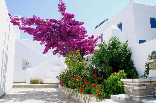 Adonis Hotel Studios & Apartments - image 12