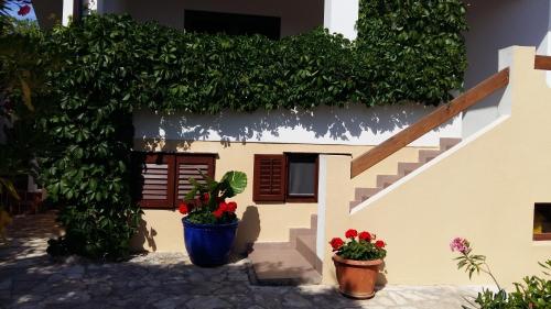  Apartmani Paula Mandre in Mandre