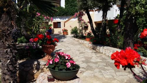  Apartmani Paula Mandre in Mandre