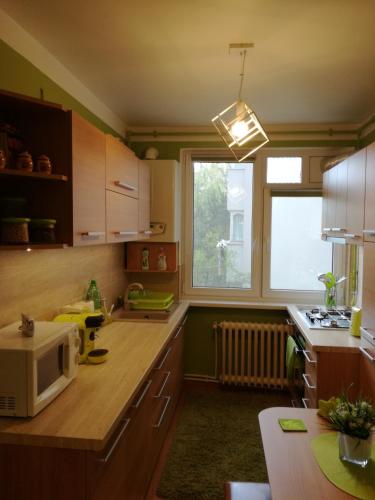Kitchen, Green Apartment in Odorheiu Secuiesc