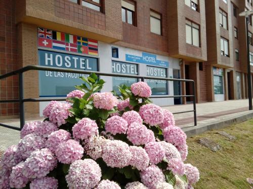 Hostel de las Facultades, Santander