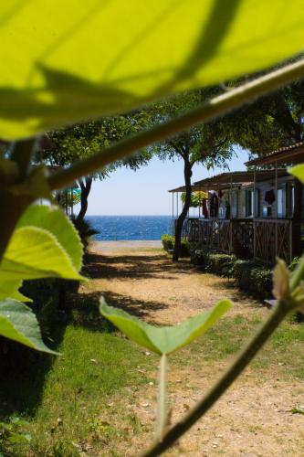 Camping La Focetta Sicula (Sant'Alessio Siculo, Italien) Preise 2020   Agoda