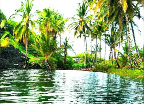 Surrounding environment, Omah nDeso Argopeni in Sudimoro