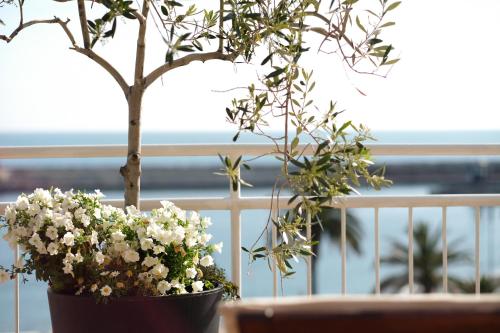 Hotel Tigullio - image 12