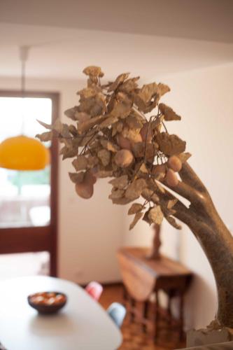  O Quarto Direito Guesthouse, Pension in Porto