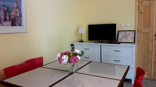 Facilities, LeSaNel - Guest House in Arad