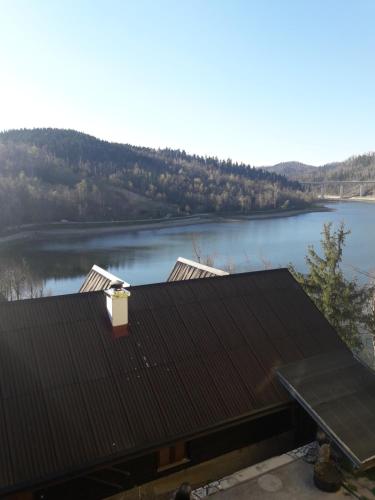  Jelen in Fužine