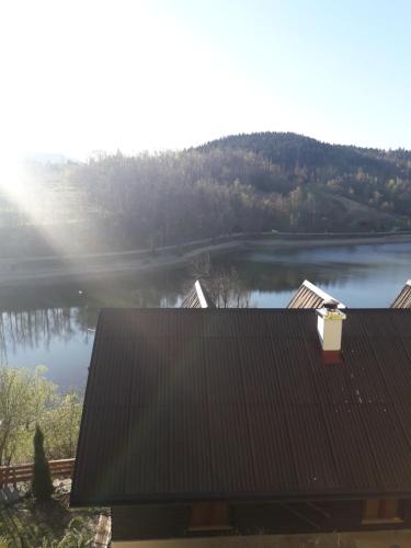  Jelen in Fužine