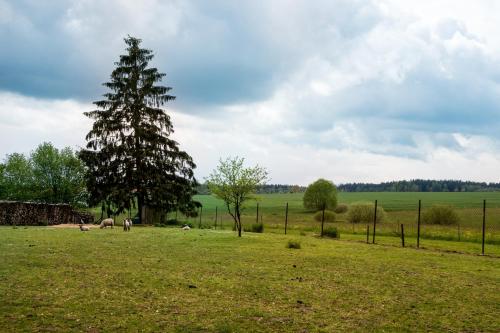 Penzion U kostela Mláka