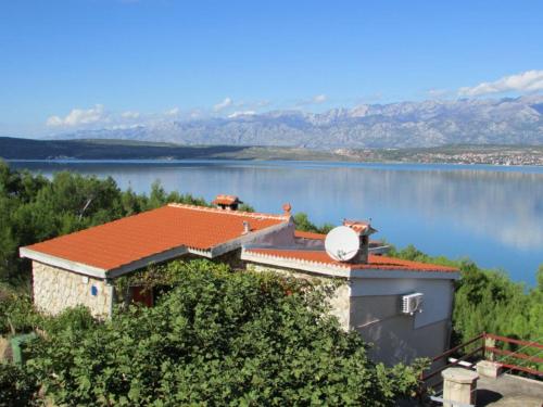  Suncokret in Novigrad