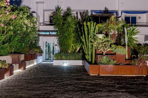 Hotel Residence Hibiscus - image 9