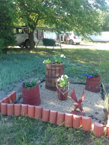 Guest house Veronika - image 6