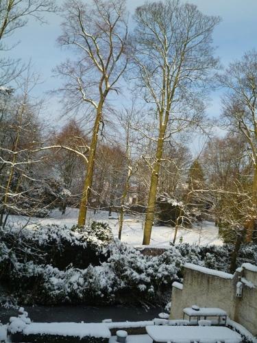 B&B Speelmansrei - image 5