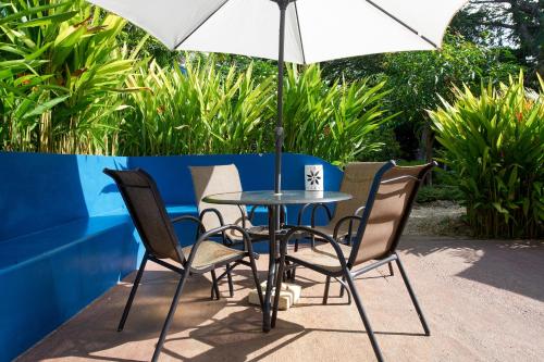Tamarindo Blue Apartments - 정원