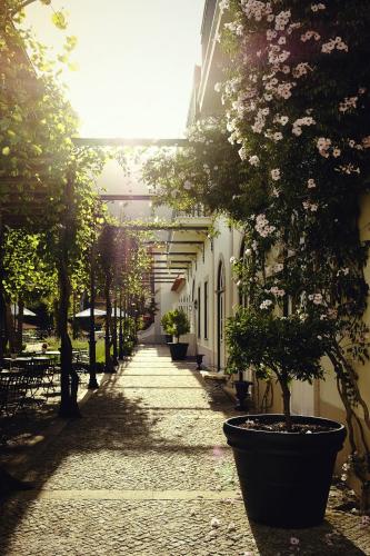 The Vintage House Hotel, Douro