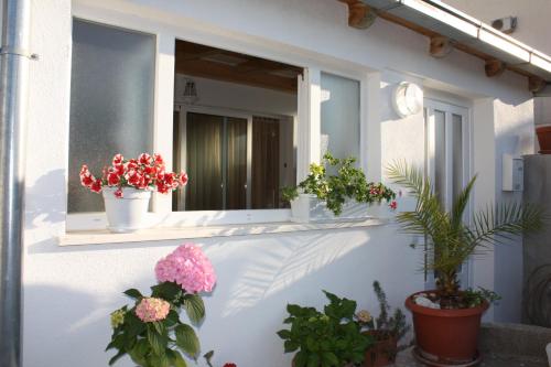 Apartment Anand