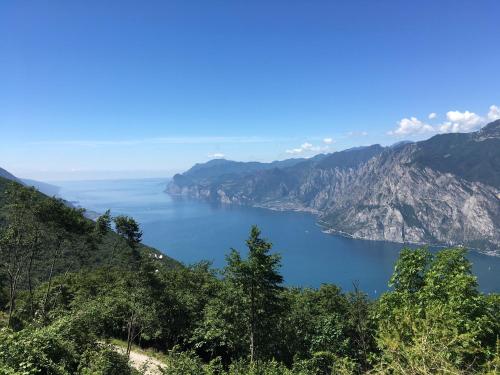 Hotel Villa Rosa - image 11