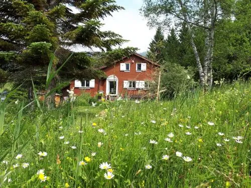 Chalet Chic mit Hot Pot in Wildhaus, Schweiz