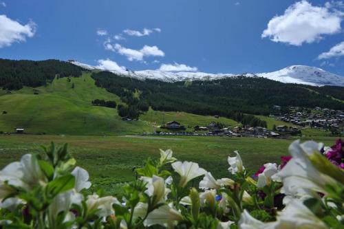 Hotel Baita della Luna - image 10