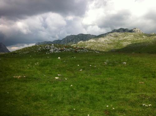 Boskovica Brvnare - image 12