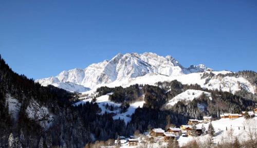 65m2 - balcon et vue sur les Aravis - Location saisonnière - La Giettaz