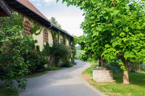 Turistična kmetija Vrezner Apartment - Zgornja Kungota