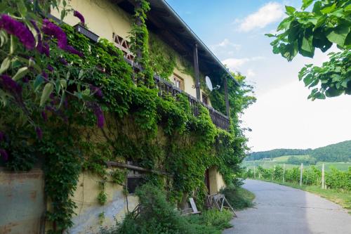 Hotelli välisilme, Turisticna kmetija Vrezner Apartment in Zgornja Kungota