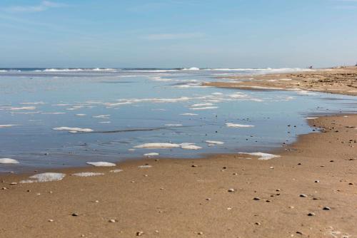 de Baak Seaside - image 10
