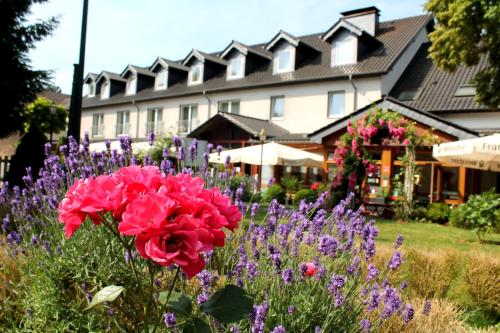 Hotel und Restaurant Eurohof - image 7