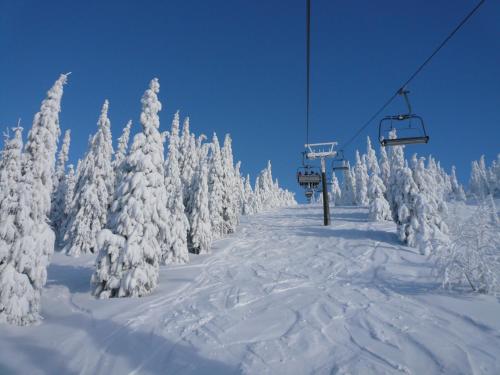 Deportes y ocio, penzion Podlesi in Korenov