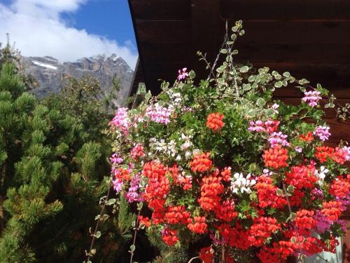 Hotel Villa Nevada – Cortina d'Ampezzo, FL