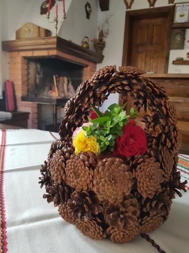 Trenchova Guest House - image 5