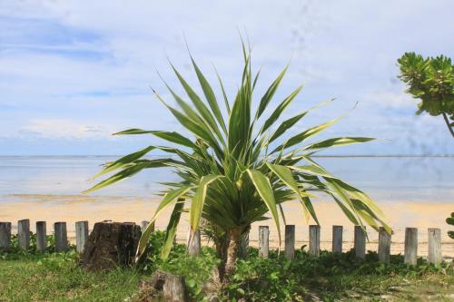 View, Yama Beachfront House in Siargao Island