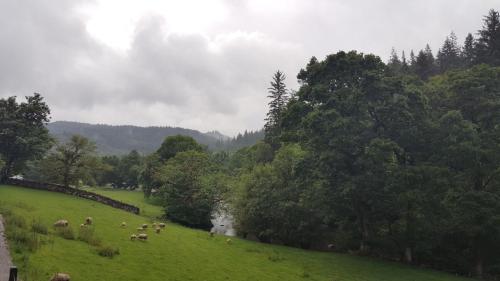 Bod Gwynedd Bed and Breakfast - image 6