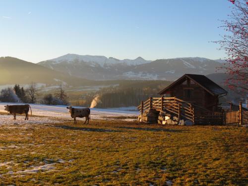 Alpenchalets Weissenbacher