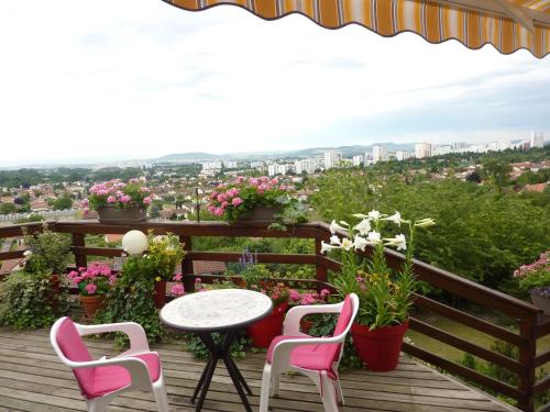 photo chambre Joli petit Appart sur les Côtes de Cébazat/Clermont Ferrand