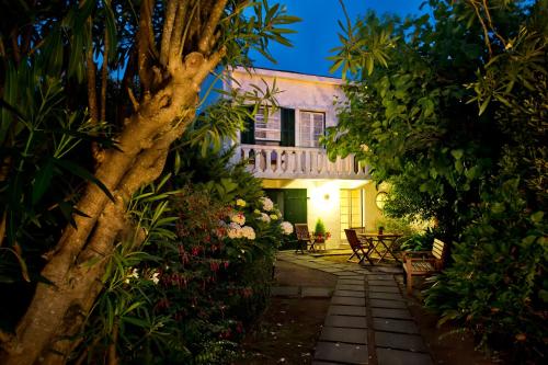 Quinta das Buganvílias - image 8