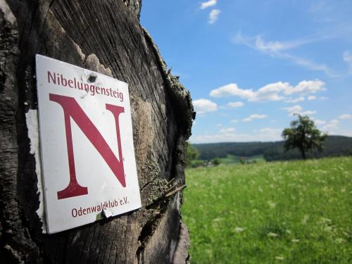 Hotel Gassbachtal - image 14