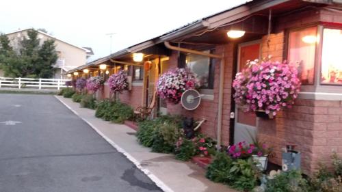 Swiss Mountain Motel - Afton