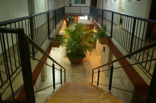 Dārzs, Hotel Pacifico Cerca al Aeropuerto in Palmira